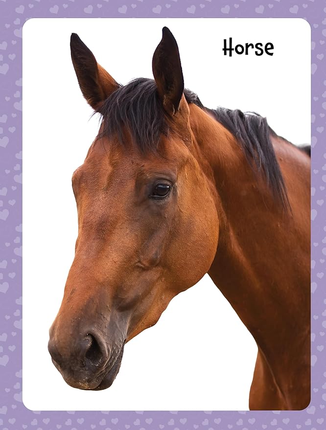 Cute Animals Poster Sticker Book - 4-Book Bundle for Kids Ages 3+, 400+ Stickers, 28 Mini Posters, 4 Giant Fold-Out Posters in 48 Full-Color Pages