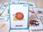 SANTSUN 14 Insects and Bugs Flashcards for Kindergarten Classroom Decoration Background Wall Stickers Teach Flash Card & Daycare Decorations Learning Cards