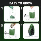 GobiDex Geodes Crystal Growing Kit for Kids, 24-Hour Fast Crystal Growth, Science Experiments Kit with Display Cases - DIY STEM Toys, Educational Gifts for Boys&Girls Ages 8-12,Geology Rock Collection