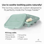 Moss and Fawn Little Explorer Kit - Silicone Frozen Breast Milk Popsicle Kit with Forage Feeder, Teething Popsicle Ice Cube Tray, & Gather & Roll Baby Feeding Bib - BPA, PVC, & Lead-Free - Fern