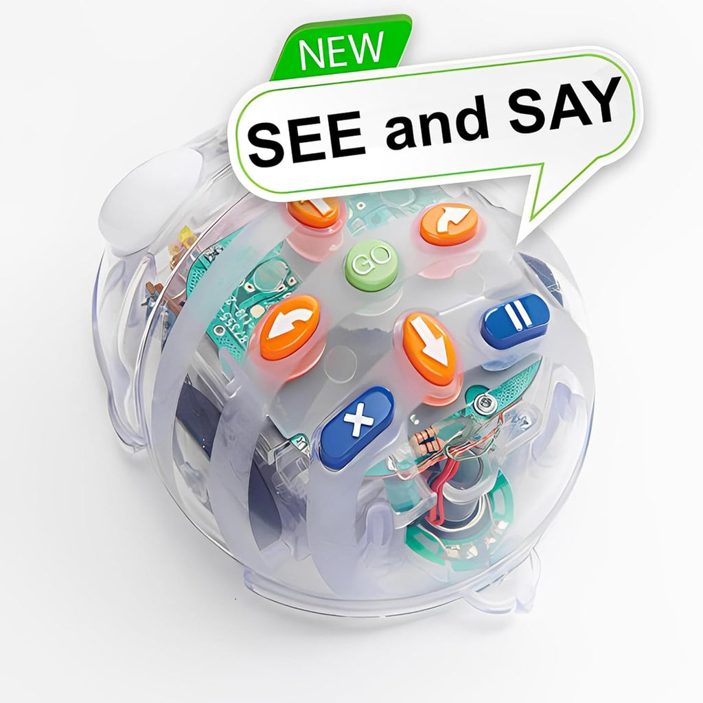 Create & Debugging Basic Robotics Programs: Blue-Bot Programmable See & Say Version