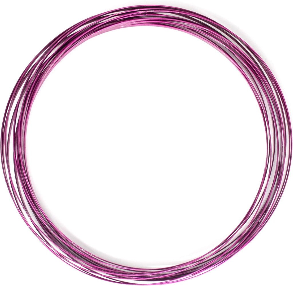 Digital Energy Kinetic Educational Spring Toy - Multi Sensory Interactive 3D Shaped Flow Ring ()