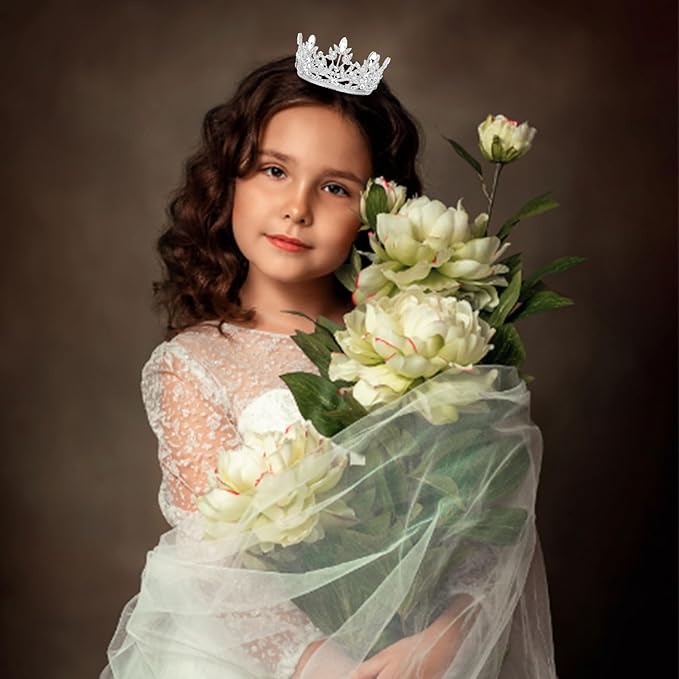 CAVETEE Mini Crown Cake Topper, Small Princess Tiara Crystal Crown Flower Bouquets Accessories for Cake Topper, Flower Arrangements and Decorations (silver)