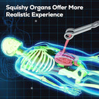 GobiDex Human Body Skeleton Model Kits, 40 Piece Anatomy Figure,Glow in The Dark Bones Interactive Science Kit, STEM Educational Toys for Boys and Girls, Halloween Physiology Gifts for Kids Ages 8+