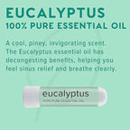 MOXĒ Eucalyptus Essential Oil Nasal Inhaler, Sinus & Congestion Relief, Daily Relaxation, Stress Relief, Therapeutic No-Mess Aromatherapy, Pure and Natural, Made in USA (1 Pack)