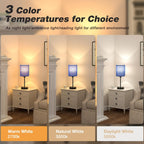 Blue Table Lamps 3 Color Temperatures - 2700K 3500K 5000K Bedside Lamps with USB C and A Ports, Pull Chain Lamps for Bedrooms with AC Outlet, Nightstand Lamps with Black Metal Base for Kids Boys