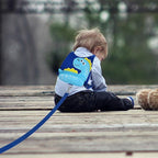 Accmor Toddler Harness Leash with Anti Lost Wrist Link, Cute Dinosaur Kids Walking Restraint Belt, Keep Child Close Hand Strap Tether for Baby Boys Girls Outdoor Travel