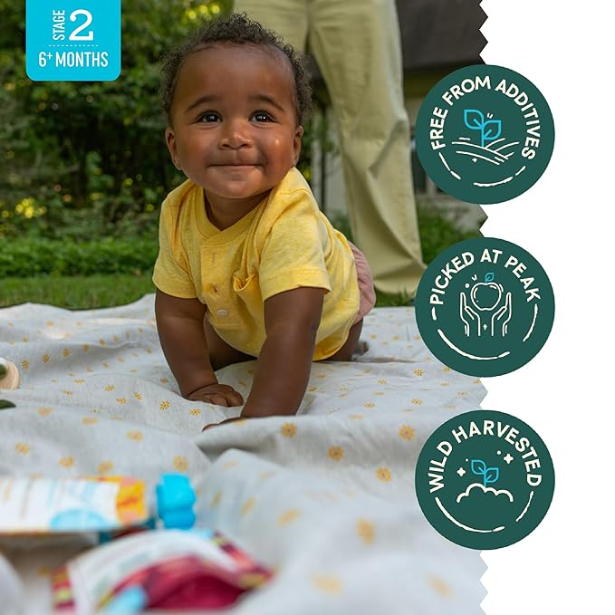 Babylife Organics Stage 2 - Carrot, Apple & Banana, 3.5 Ounce Pouch (6 Pack) - Heavy Metal Safe, Organic Baby Food