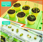 Kids Plant Growing Kit - Kids Greenhouse & Flower Growing Kit with Hydroponic Growing System, Thermometer,Wind Vane & Tools, Educational STEM Plant Growing Set