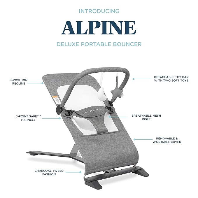 Baby Delight Alpine Deluxe Portable Bouncer | Infant | 0 – 6 months | Charcoal Tweed