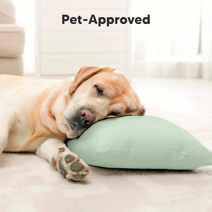 Toddler Pillow with Pillowcase - 13x18 My Little Cuddly Pillow, Viscose Derived From Bamboo Nursery Toddler Pillows for Sleeping,Kids Pillow,Small Travel Pillows,Mini Toddler Bed Pillow (Sage)