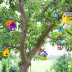 hapray 2 Pack Bird House Kit, DIY Birdhouse Kits, Wooden Crafts Arts for Children to Build and Paint (Includes Paints & Brushes) for Kids Girls Boys Toddlers Gifts Christmas