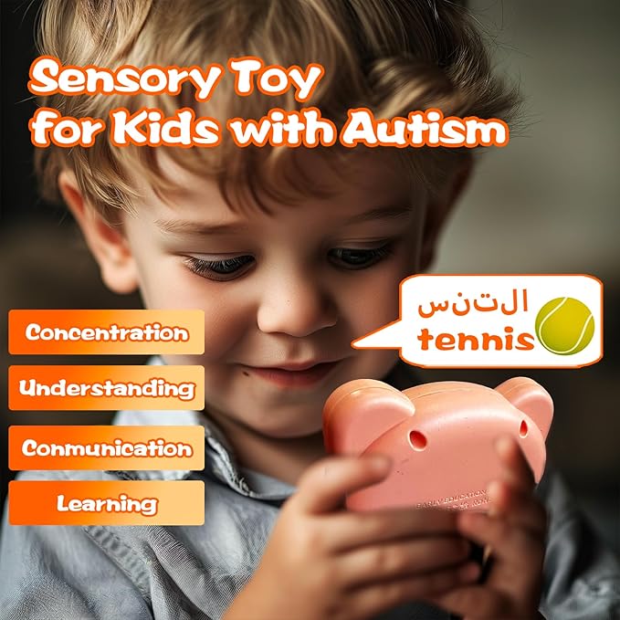 Talking Flash Cards for Kids - Arabic Bilingual English Flashcard for Toddlers 3-12, Test Mode, 510 Sight Words, Audible Pocket Speech, Sensory Toys for Autism, Boys Girls Gifts (Arabic)