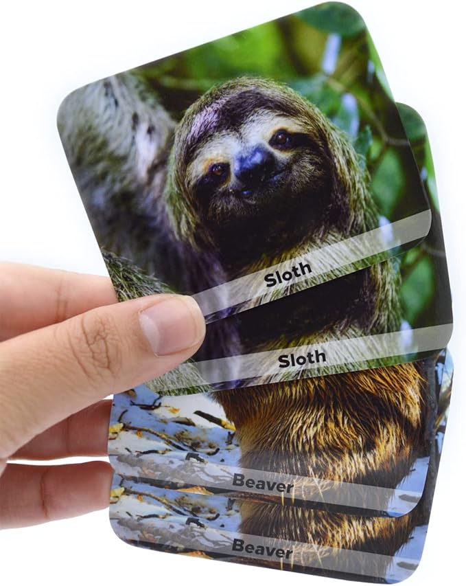 Menique Wild Animals Memory Matching Game – 80 Cards (40 Pairs) with Real Photos – Includes Educational Booklet with Animal Facts – Fun & Cognitive Game for Kids and Adults