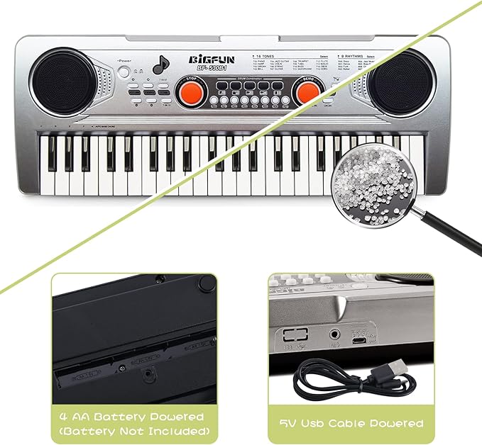 Raimy Piano Keyboard for Kids 49 Keys Portable Keyboard Piano Early Learning Educational Electronic Musical Instrument Toys Gifts for 3 4 5 6 7 8 9 Year Old Boys and Girls (Silver)