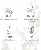 Edens Garden Tummy Aid Essential Oil Blend- 100% Pure Premium Grade, Undiluted, Natural, Therapeutic, Aromatherapy, The Best for Diffusing, Skin, Humidifiers, Kid Safe 10 ml (.33 fl oz)