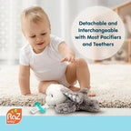 RaZbaby JollyPop Pacifier, Holder w/Detachable Baby Pacifier, Stuffed Animal RaZbuddy, All Ages 0M+, 100% Medical Grade USA Made Silicone, Machine Washable, Textured & Easy to Hold – Puppy