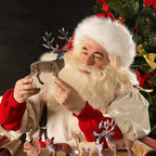 SIENON 7Pcs Forest Animals Figures Toys, Miniature Woodland Figurines with Deer Family, Elk, Fox, Rabbit, Squirrel for Kids Christmas Birthday Party Gift Cake Decorations Educational Project Diorama