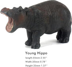 FUNSHOWCASE African Jungle Animals Young Hippo Hippopotamus Calf Toy Figure Realistic Plastic Figurine Height 1.3"
