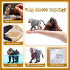 Toymany 15PCS Monkey Primates Figurines, Plastic Jungle Animals Set Included Tree Monkey Ape Tree Chimpanzee Gorilla Orangutan Toys for Kid Todllers