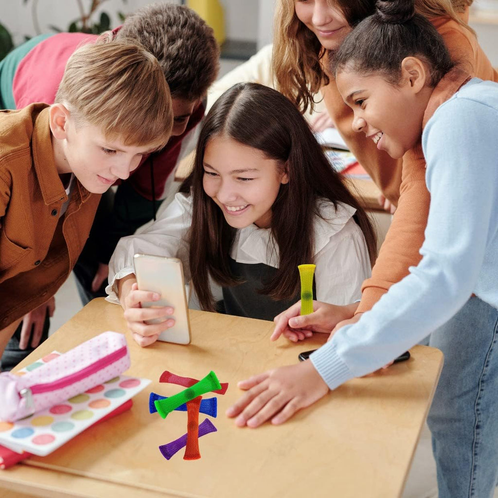 Luusy 24 Pieces Fidget Toys Marble and Mesh Fidgets Relieve Sensory Stress and Increase Focus for Adults and Children Those with ADHD ADD OCD Autism,8 Colors