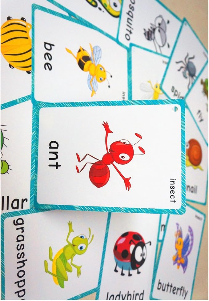 SANTSUN 14 Insects and Bugs Flashcards for Kindergarten Classroom Decoration Background Wall Stickers Teach Flash Card & Daycare Decorations Learning Cards
