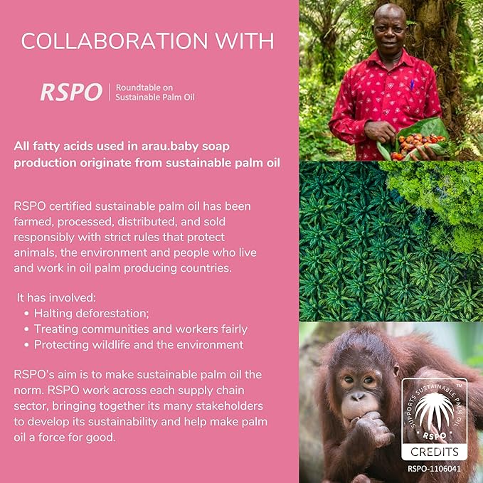 Arau Baby Unscented Foam Bottle Wash, Natural Plant Based Baby Bottle & Dish Soap, No Artificial Fragrance or Additives, Gentle for Washing Bottles, Pacifiers and Toys, Easy Rinse, 15.21 Fl Oz