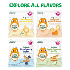 Little Bellies Organic Puffs Variety Pack, Blueberry & Apple and Cinnamon (Pack of 18)