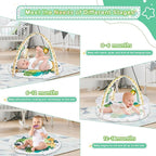 Baby Play Mat, 4-in-1 Baby Play Gym Tummy Time Mat with Ball Pit and 5 Detachable Toys for Newborn to Develop Sensory Exploration and Motor Skill 0-6-12 Months