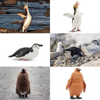 Toymany 12PCS Realistic Penguin Figurines, Plastic Polar Antarctic Animal Figures Set with Penguin Cub, Easter Eggs Cake Toppers Christmas Birthday Gift for Kids Toddlers