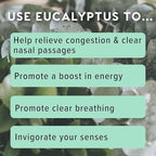 MOXĒ Eucalyptus Essential Oil Nasal Inhaler, Sinus & Congestion Relief, Daily Relaxation, Stress Relief, Therapeutic No-Mess Aromatherapy, Pure and Natural, Made in USA (1 Pack)