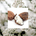 RAW SUGAR Simply Body Wash - shea + Rice Flower, Moisturizing & Soothing Bath & Shower Gel, Sulfate-Free, Paraben-Free & Vegan (25 Fl Oz, Pack of 1)