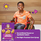 Annie's Organic Bunny Grahams Snacks, Chocolate Chip, 7.5 oz (Pack of 12)