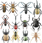 Toymany 12PCS Realistic Insects Figurines Toys - Plastic Bugs Figures Set with Cricket Bee Ant Dung Beetle, Educational Halloween Toy Cake Toppers Christmas Birthday Gift for Toddlers Kids