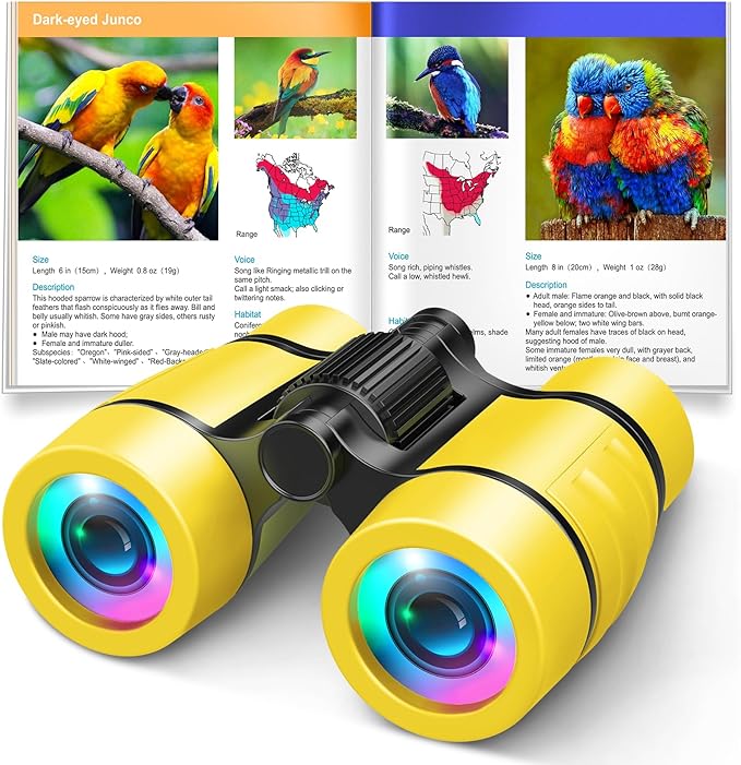 Toys for 3-7 Year Old Girl Boy: LET'S GO! Bird Watching Binoculars for Kids Ages 3 4 5 6 7 Year Old Girls Boys Outside Learning Toy for Kid Preschool Gift Toddler Binoculars Toy Stuffers