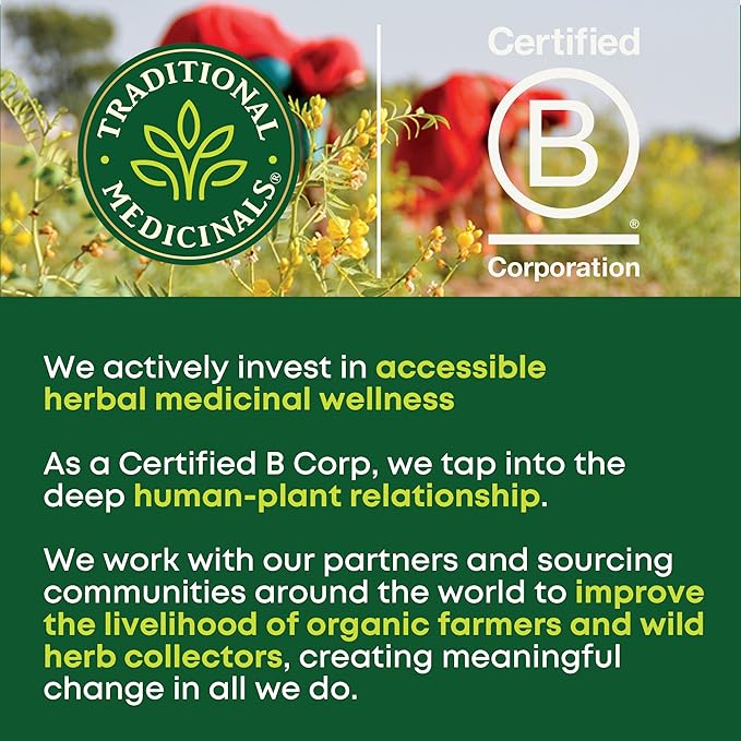 Traditional Medicinals - Organic Mother's Milk Herbal Tea (6 Pack) - Promotes Healthy Lactation in Breastfeeding Moms - 96 Tea Bags Total