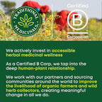 Traditional Medicinals Tea, Organic Pregnancy Tea, Supports a Healthy Pregnancy, Raspberry Leaf, Kosher, Non-GMO, Caffeine-Free, Compostable - 96 Tea Bags (6 Pack)