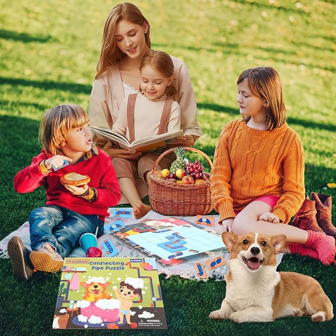 Logical Puzzle,Sequence Matching Game,with Game Cards（30 Scenes）,Classic Path Planning Game,STEM Educational Toys,Family Game,Logic Labyrinth Games for Adults and Kids(2 Puzzles).