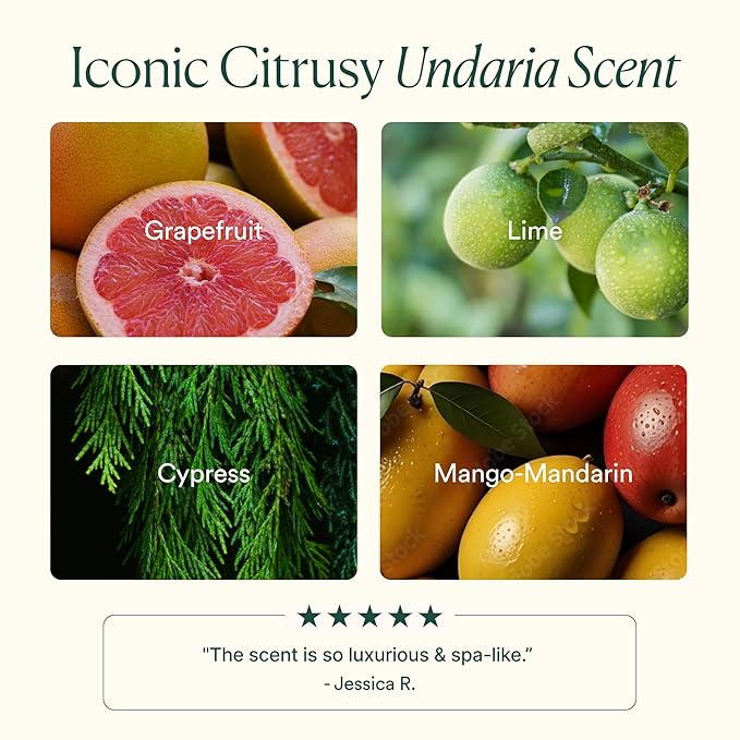 OSEA Undaria Algae™ Body Wash 8 fl oz - Hydrating & Moisturizing Body Wash - Citrus Scented Cleanser