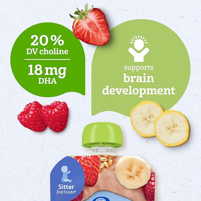 Gerber Stage 2 Baby Food, Organic Banana Strawberry Raspberry Oatmeal, Baby Puree, 12PK