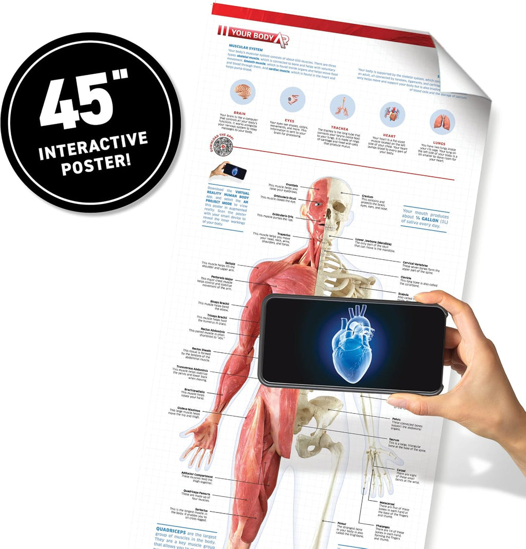 Virtual Reality Human Body Gift Box- Illustrated Interactive VR Book and STEM Learning Activity Set - for Ages 8 and Up