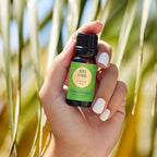 Edens Garden Aches & Pains OK for Kids Essential Oil Synergy Blend, 100% Pure Therapeutic Grade (Undiluted Natural/Homeopathic Aromatherapy Scented Essential Oil Blends) 30 ml