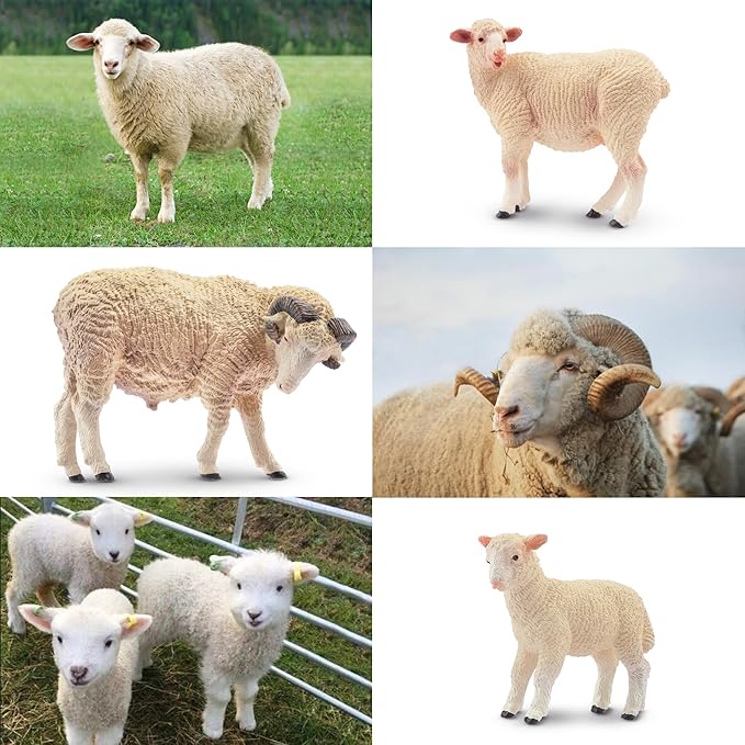 Toymany 8PCS Merino Sheep Figurines Realistic Farm Animal Sheep Toys- Plastic Sheep Figures Birthday Christmas Toy Gift for Kids Toddlers
