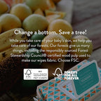 JOONYA Unscented Baby Wipes — Plant-Based, Fragrance-Free Bulk Diaper Wipes | Hypoallergenic, Non-Toxic & Biodegradable Wet Wipes for Sensitive Newborn Skin | 12 Packs of 80 Wipes (960 Total)