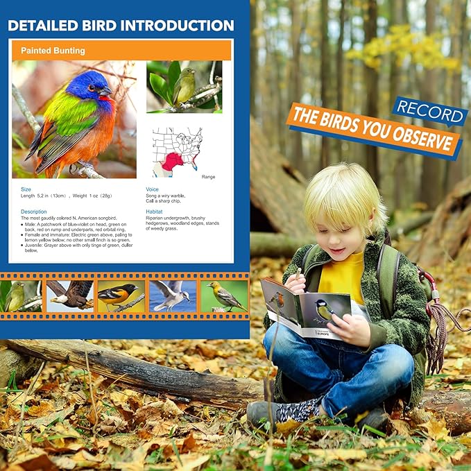 Toys for 3-7 Year Old Girl Boy: LET'S GO! Bird Watching Binoculars for Kids Ages 3 4 5 6 7 Year Old Girls Boys Outside Learning Toy for Kid Preschool Gift Toddler Binoculars Toy Stuffers