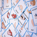 SANTSUN 36 Pieces of My Body Parts Flash Cards for Toddlers- The Flash HolePunched- So You can sort and Organize The Cards Easily and Early Learning Kindergarten Teacher Tools