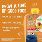Earth's Best Organic Yogurt Smoothie Pouches, 24+ Months, Fruit Yogurt Smoothie for Toddlers 24 Months and Up, Banana Peach, 4.2 Ounce Resealable Pouch (Pack of 12)