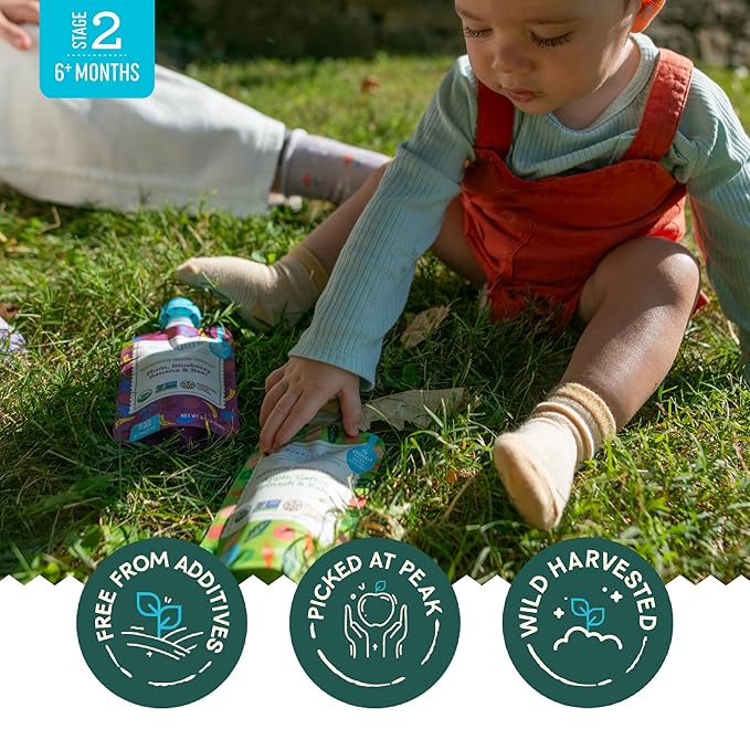Babylife Organics Stage 2 - Apple, Carrot, Spinach & Kale, 3.5 Ounce Pouch (6 Pack) - Heavy Metal Safe, Organic Baby Food