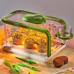 Kids Plant Growing Kit, Kids Gardening Greenhouse Growing Kit with Drip Irrigation and Grow Lights, Science STEM Toys Terrarium Kit for Boys Girls 3 4 5 6 7 8 Year Old,Kids Flower Growing Kit