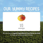 Happy Baby Organics Clearly Crafted Stage 1 Baby Food, Mangoes, 3.5 Ouncee Pouch (Pack of 16)